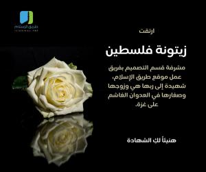 زيتونة فلسطين