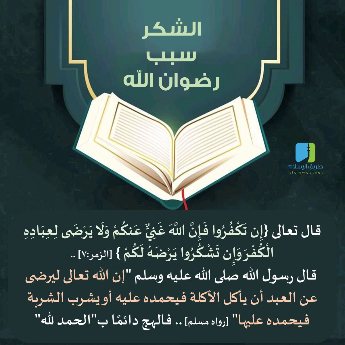 الشكر سبب رضوان الله